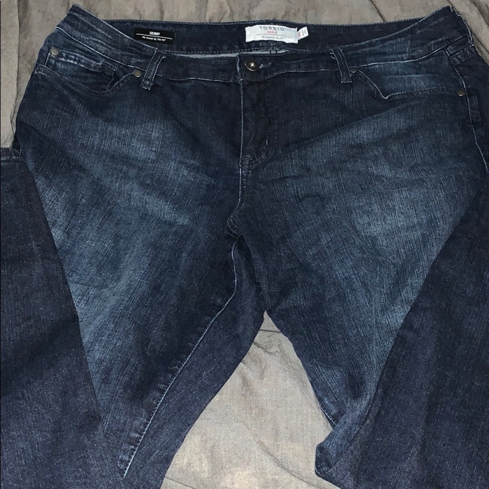 Torrid Skinny Jeans